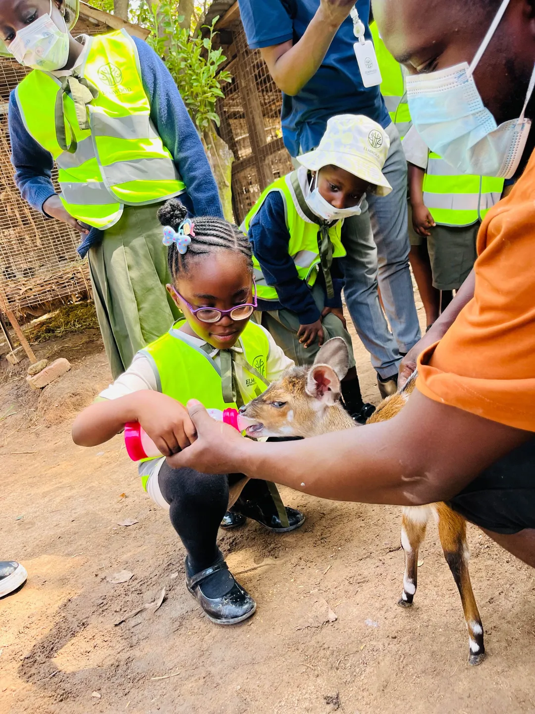 Trip on Aninkorah Mini Zoo!